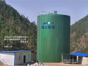贵州惠水县龙尚养殖发展有限公司新建猪场1500立方米沼气发电工程施工现场